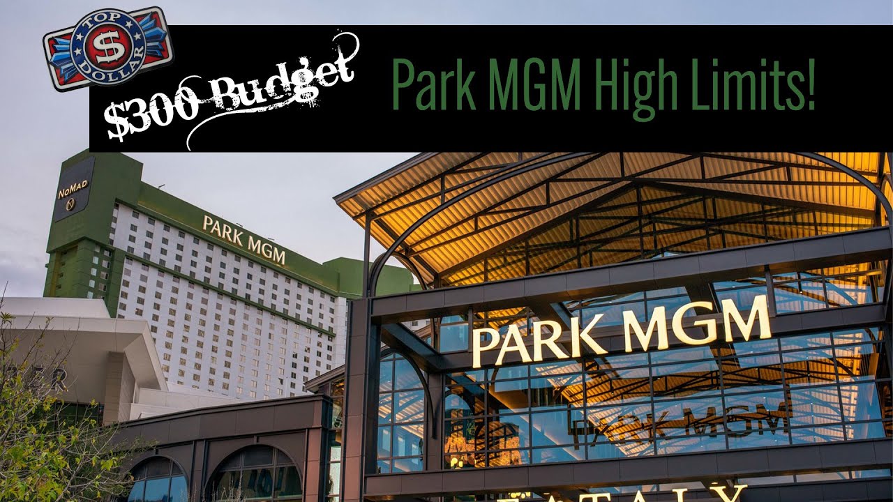 WOW 😱 $300 Builds up to THIS! High Limit Slot Play 🎰 Park MGM Las Vegas