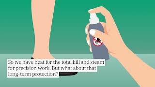 Designing a Lasting Bed Bug Shield: Modern Multi-Step Methods for Total Eradication