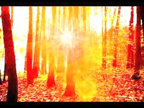 ''ასეთია შემოდგომა'' მაია სიჭინავა /Author songs maia sitchinava