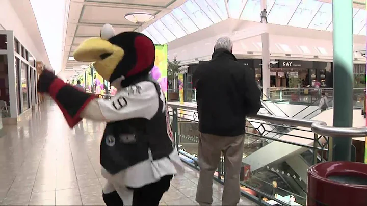 AHL Mascot Tux Answers "The Ellen Degeneres Show" ...