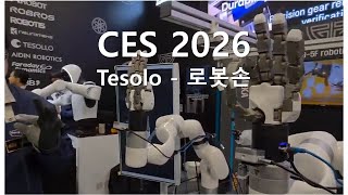 Ces 2026 - Tesolo 로봇손