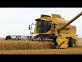 New holland tx68 harvesting oat  harvest season 2023