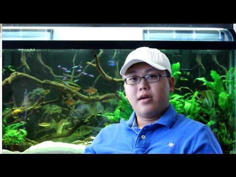 My Top 3 - Worst Places To Buy Fish - YouTube