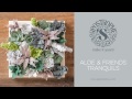 Felt Succulents Project | DIY Home Decor Crafts |  Apostrophe S | Aloe and Friends—Tranquils
