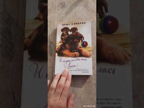 Обзор книги 📚