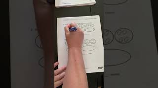 2nd Grade, Week 3: Lesson 1 Problem Set 2.6 (pages 5-6)