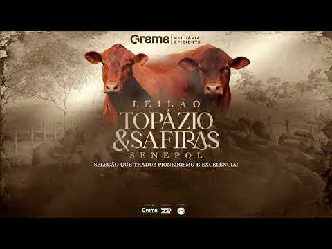 LOTE 60 - ZT7407