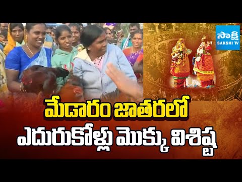 గాల్లోకి కోళ్లను విసిరి..! || Unique Edurukollu Ritual at Sammakka Saralamma Jatara || @SakshiTV - SAKSHITV