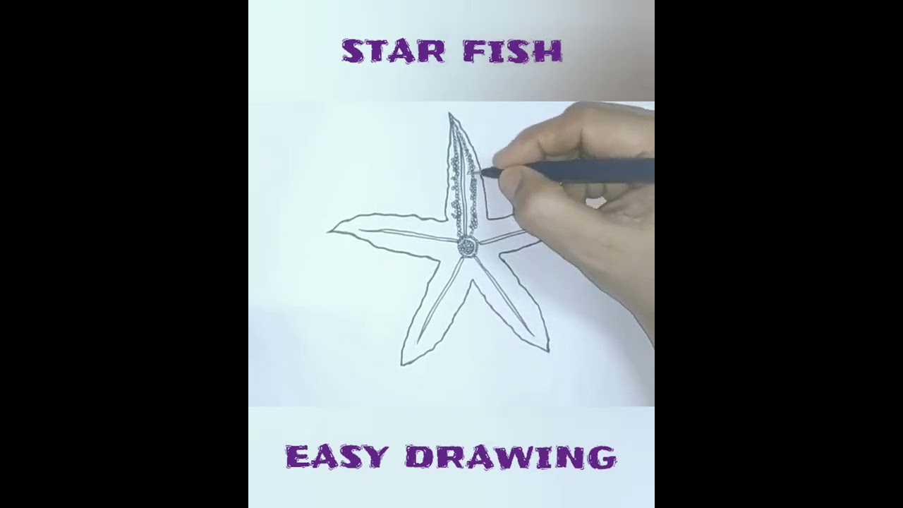 how to draw a starfish easily