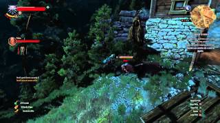 The Witcher 3: Wild Hunt - Immortal mermaid BUG