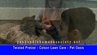 Panhandle Humane Society - Donate #5