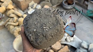 Good morning with new ❤️ASMR crumbling vlog || May Allah bless you @TehreemSheikh-o6z 🤌🏻❤️