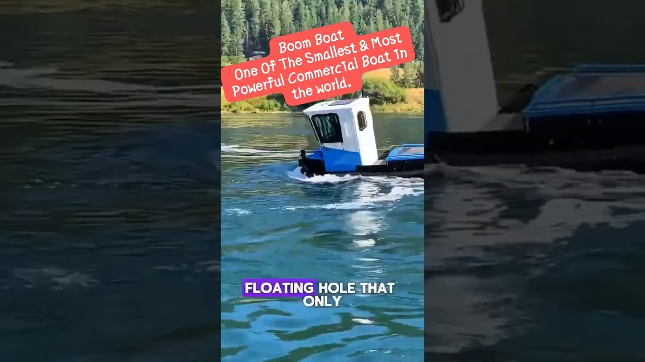 Boom boat 🚢  small but powerful 