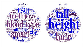 Visible vs Hidden - Tales from the Genome