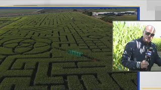 Gary on the Go-Can you find your way out of over 40 acres of a corn maze
