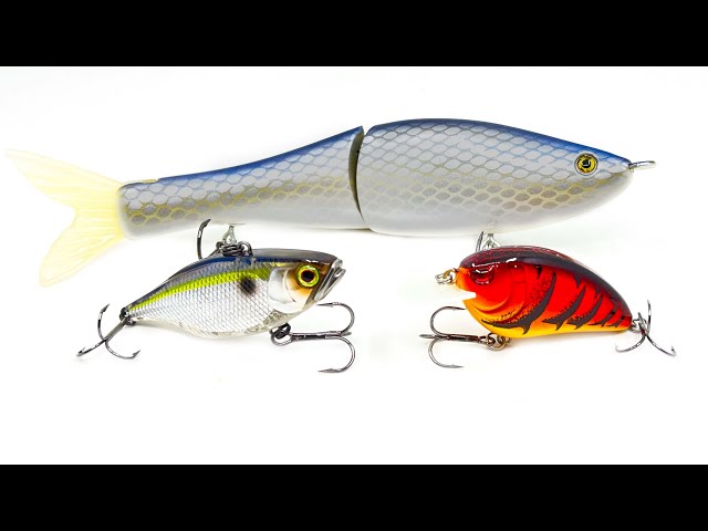 TOP 5 BAITS FOR FEBRUARY BASS FISHING! 