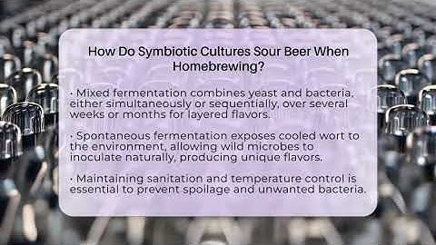 How Do Symbiotic Cultures Sour Beer When Homebrewing? - The Pint Guy