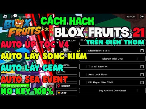 Hướng Dẫn Cách Hack Blox Fruit Trên Điện Thoại NO KEY,Auto Úp Tộc V4,Auto Lấy Mỏ Neo,Lấy Song Kiếm