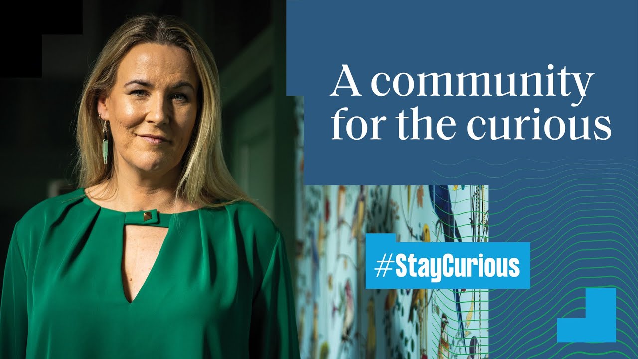 Stay Curious - Hannah Wrixon
