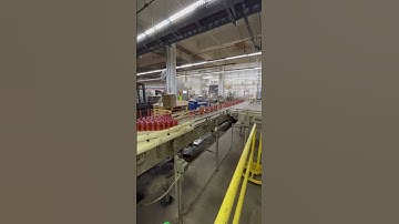 Bottle conveyor #automation #machines #industrial #industrialautomation