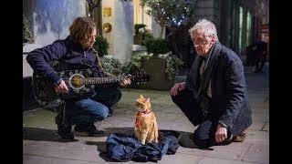 映画『ボブという名の猫　幸せのハイタッチ』メイキング映像