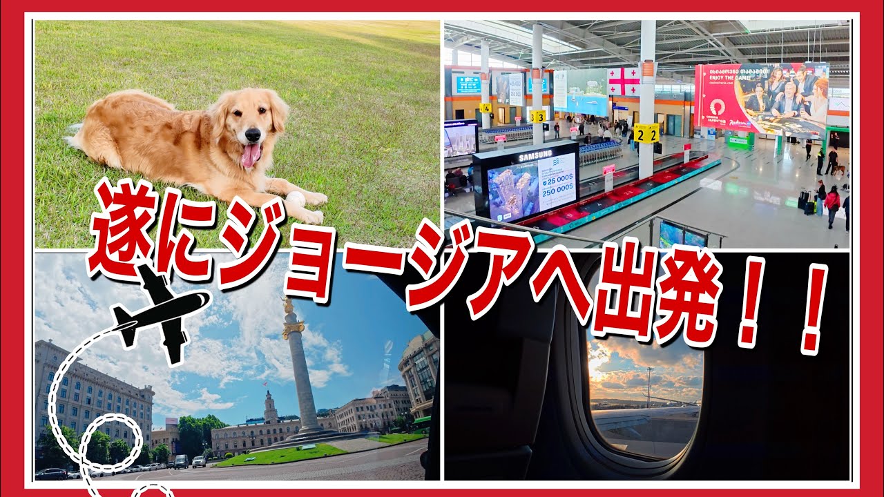 【ジョージア移住】ついに出発当日！！愛犬も一緒に飛行機乗るの?!