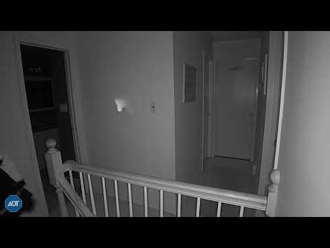 Video: Suspects On Loose After Long Island Home Break-In, Police Say