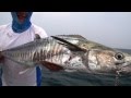 Fishing in Malaysia