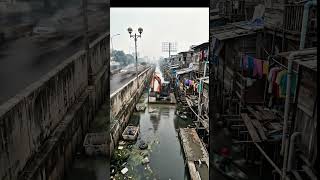 শেষ পর্যন্ত দেখো—কোনটা ভালো? 👇Watch till the end — which one do you like more? 🤔#shortvideo #aishort