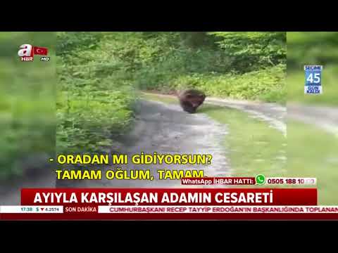 Ayıyla karşılaşan adamın cesareti | A Haber