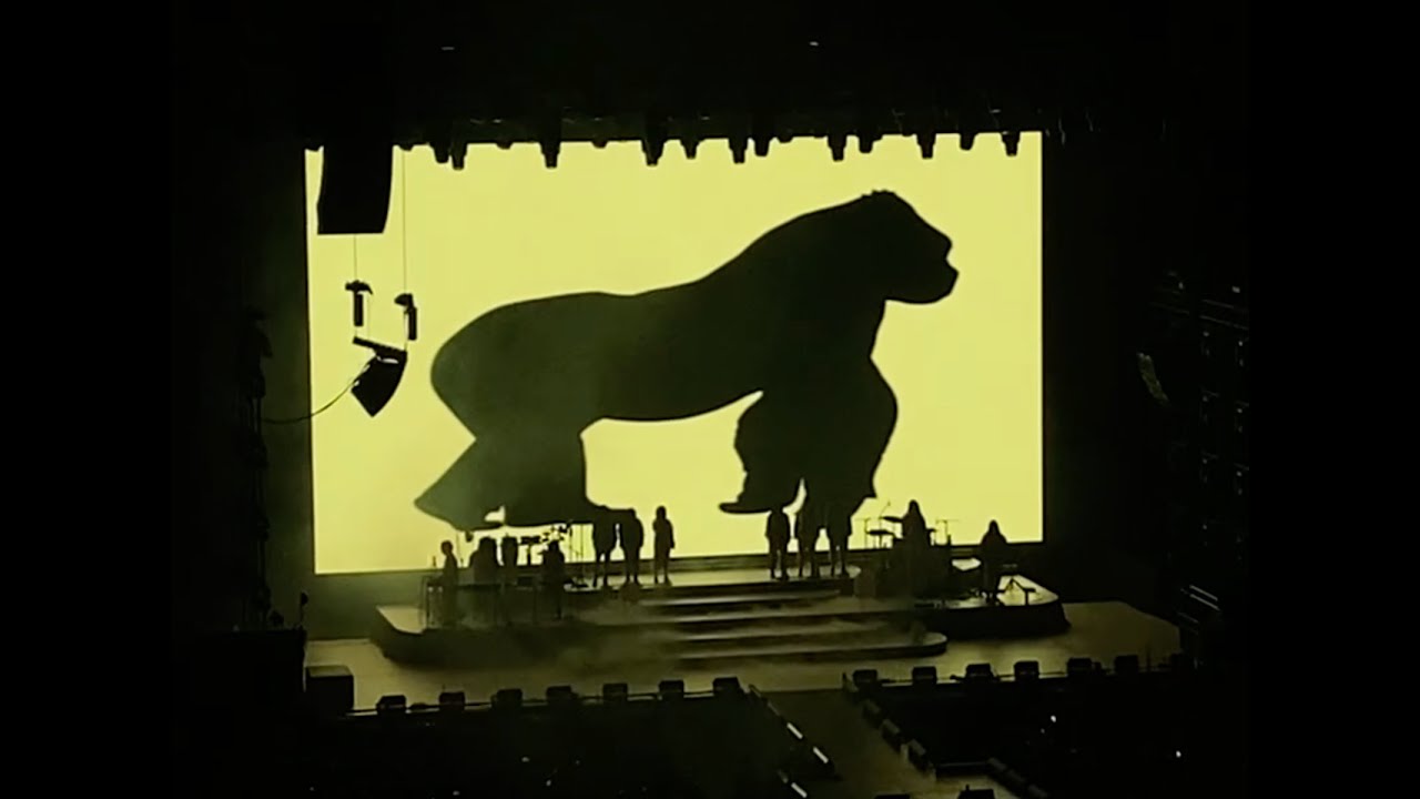 concierto rusowsky con mis amiguitos🦍