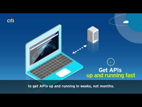 CitiConnect API Portal