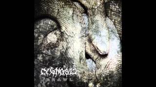 CygnosiC - Crawl (Original Version)