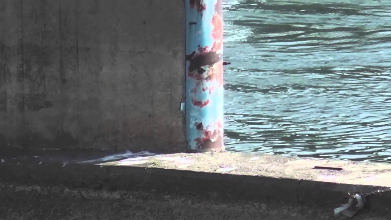 Panasonic HX-WA20_02