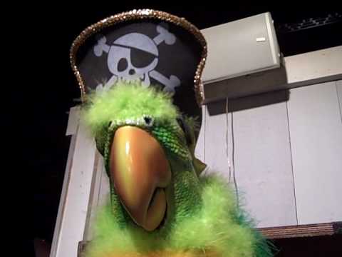 Stew Leonards Dancing Pirate Parrot