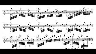 Vassily Sarenko - Fantasia in G for Guitar [Score-Video]