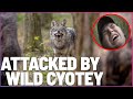 This Boy Was Hunted By A Pack Of Coyotes In The Woods | Fight To Survive S1 EP6 | Wonder