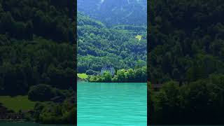 Beautiful Iseltwald, Switzerland ??️ #switzerland #travel #nature #mountains #guide #shorts #brienz