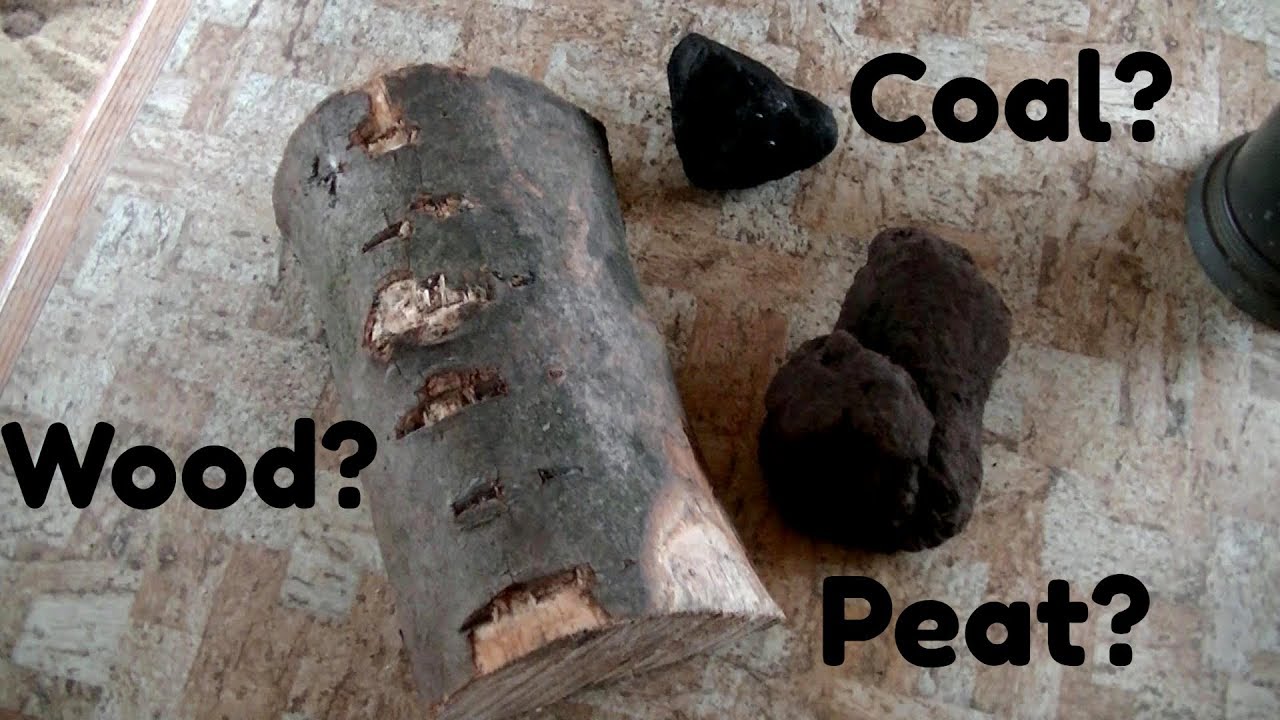Coal, Peat or Wood which is better? YouTube