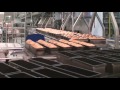 Toast bread  soft production line