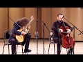 'Asturias' by I. Albeniz – Dimitri Illarionov & Boris Andrianov