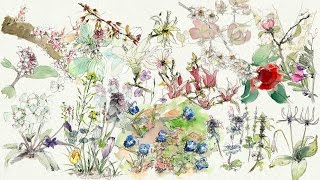 花の二重唱