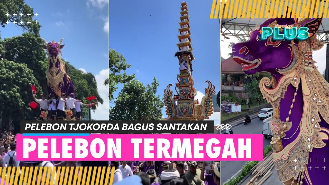 Megahnya Upacara Pelebon Tjokorda Bagus Santakan Di Ubud Bali - Lembu Ungu Curi Perhatian