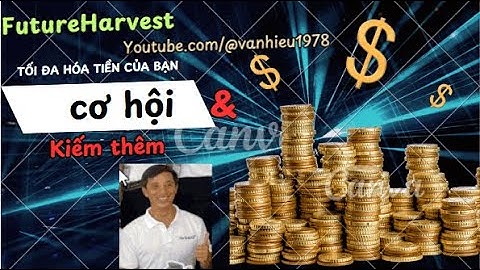 5 bến đỗ an toàn để sống sót và giàu có cuối 2025