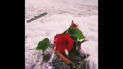 اذكار المساء حالات واتس 🦋🦋