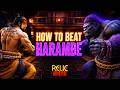 CAN YOU BEAT OUKER'S HARAMBE? | Relic Arena
