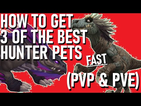 THE ONLY 3 PETS YOU NEED (PVE & PVP) | World of Warcraft