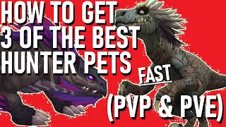 THE ONLY 3 PETS YOU NEED (PVE & PVP) | World of Warcraft