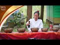 Find Deep Inner Peace with the Harmonious Sound of Singing Bowls