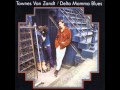 Townes van Zandt - Brand New Companion